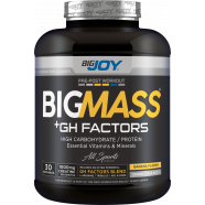 Bigjoy Sports BIGMASS Gainer GH FACTORS