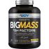 Bigjoy Sports BIGMASS Gainer GH FACTORS  + 1.062,50 TL 