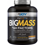 Bigjoy Sports BIGMASS Gainer GH FACTORS