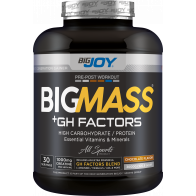 Bigjoy Sports BIGMASS Gainer GH FACTORS