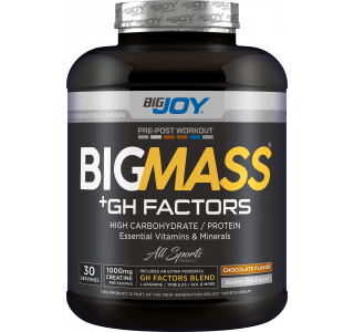 Bigjoy Sports BIGMASS Gainer GH FACTORS Çikolata 3000g 