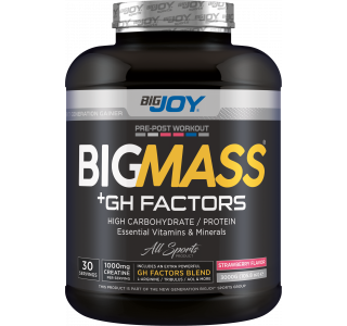 Bigjoy Sports BIGMASS Gainer GH FACTORS Çilek 3000g 