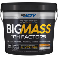 Bigjoy Sports BIGMASS Gainer GH FACTORS