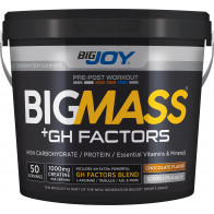 Bigjoy Sports BIGMASS Gainer GH FACTORS