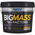 Bigjoy Sports BIGMASS Gainer GH FACTORS  + 1.572,50 TL 