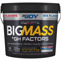 Bigjoy Sports BIGMASS Gainer GH FACTORS