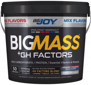 Bigjoy Sports BIGMASS Gainer GH FACTORS Mix Aroma 5000g 