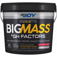 Bigjoy Sports BIGMASS Gainer GH FACTORS