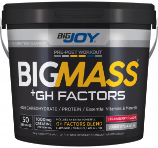 Bigjoy Sports BIGMASS Gainer GH FACTORS Çilek 5000g 