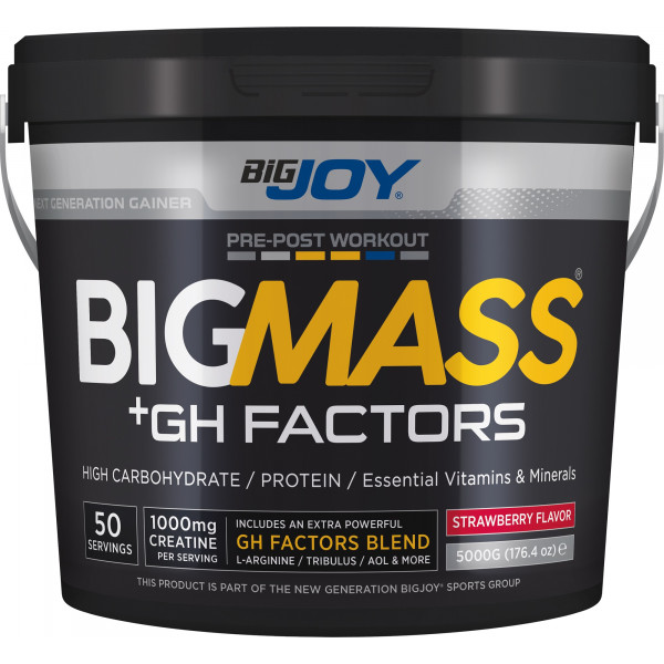 Bigjoy Sports BIGMASS Gainer GH FACTORS Çilek 5000g 