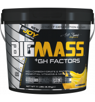  BIGMASS Gainer GH FACTORS