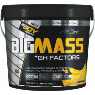 Bigjoy Sports BIGMASS Gainer GH FACTORS