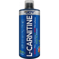 Bigjoy Sports L-Carnitine Likit 