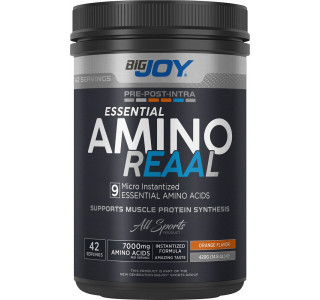 Bigjoy Sports Amino Reaal  Portakal 420g