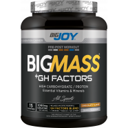 Bigjoy Sports BIGMASS Gainer GH FACTORS