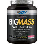 Bigjoy Sports BIGMASS Gainer GH FACTORS