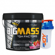 Bigjoy Sports BIGMASS Gainer GH FACTORS