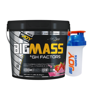 Bigjoy Sports BIGMASS Gainer GH FACTORS Çilek 5000g 