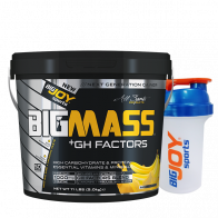 Bigjoy Sports BIGMASS Gainer GH FACTORS