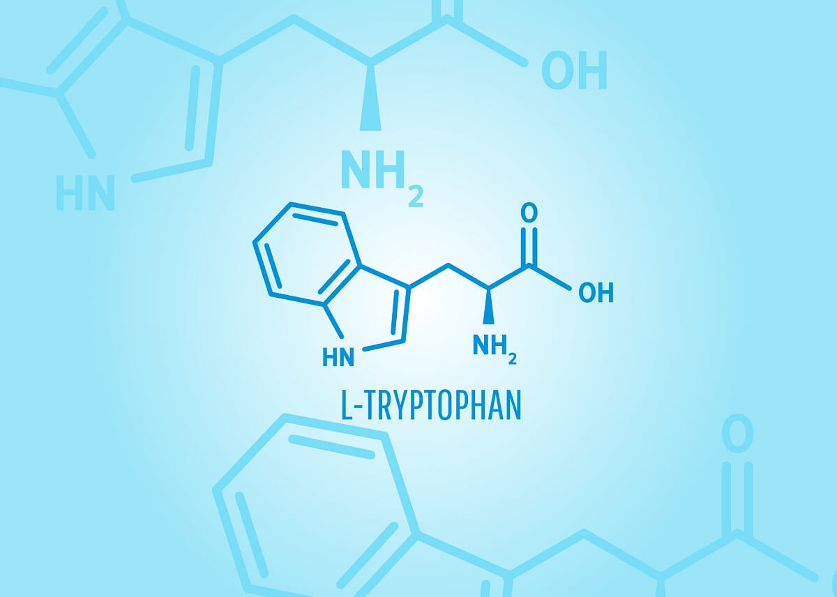 Triptofan Nedir, Ne İşe Yarar, Hangi Besinlerde Bulunur?